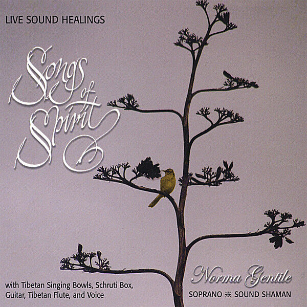 Cover art for Songs of Spirit - Live Sound Healings
